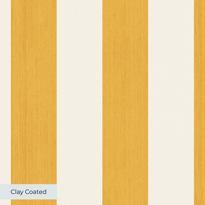 Marigold and ivory 19th century equal-width stripe, yellow striated: clay-coated wallpaper closeup, smooth matte finish