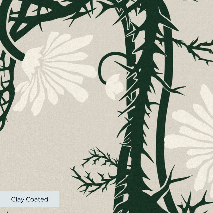 Marguerite in linen and forest floor: spined, entwined stems forming vertical channels around massed daisy heads, translated from a c. 1904 Dutch linen damask finger towel by Cornelis van der Sluys. clay-coated wallpaper closeup, smooth matte finish