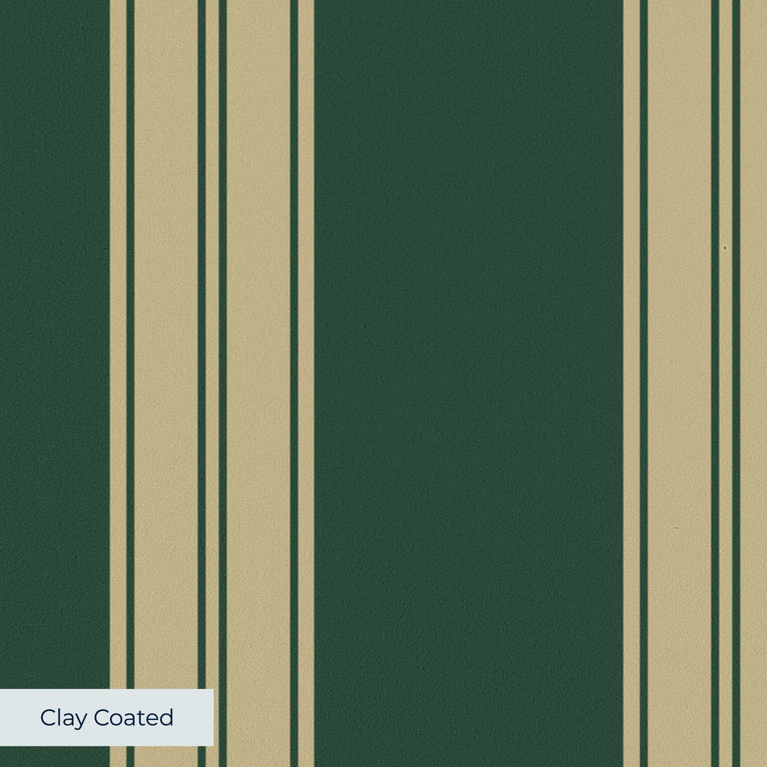 Gold 19th century double-band stripe on a dark green ground: clay-coated wallpaper closeup, smooth matte finish
