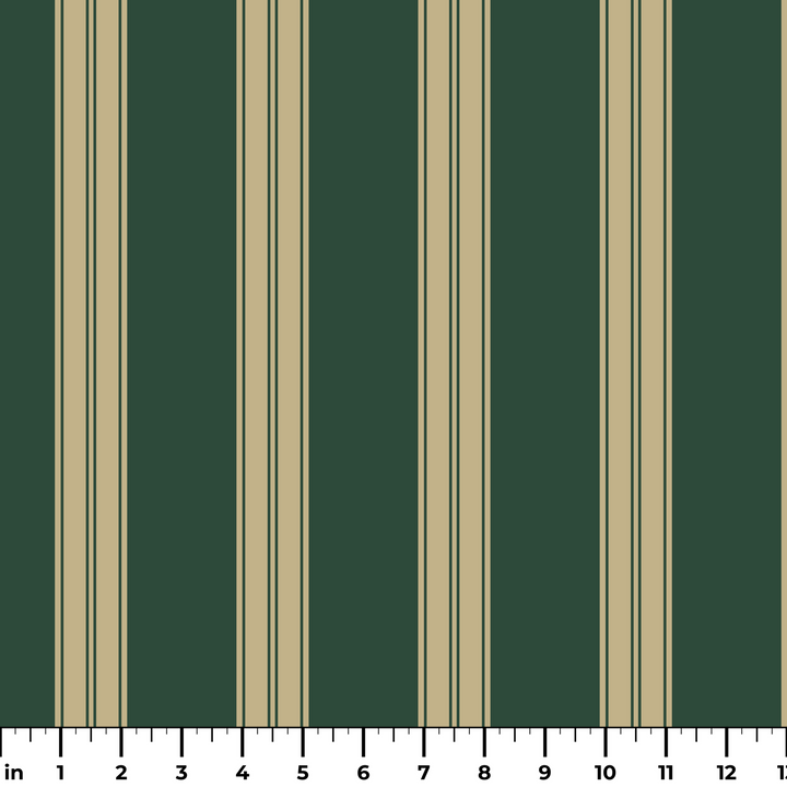  ruler