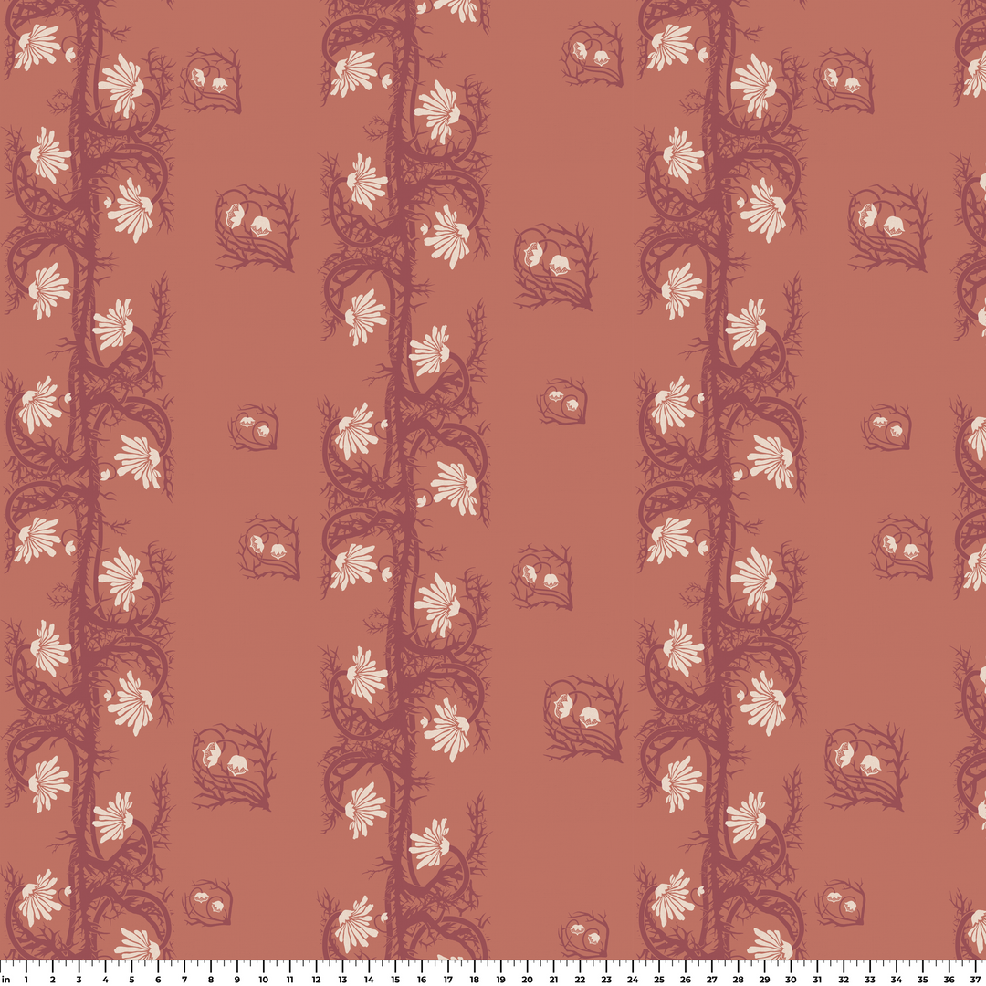 Marguerite in terracotta and pomegranate: spined, entwined stems forming vertical channels around massed daisy heads, translated from a c. 1904 Dutch linen damask finger towel by Cornelis van der Sluys. ruler