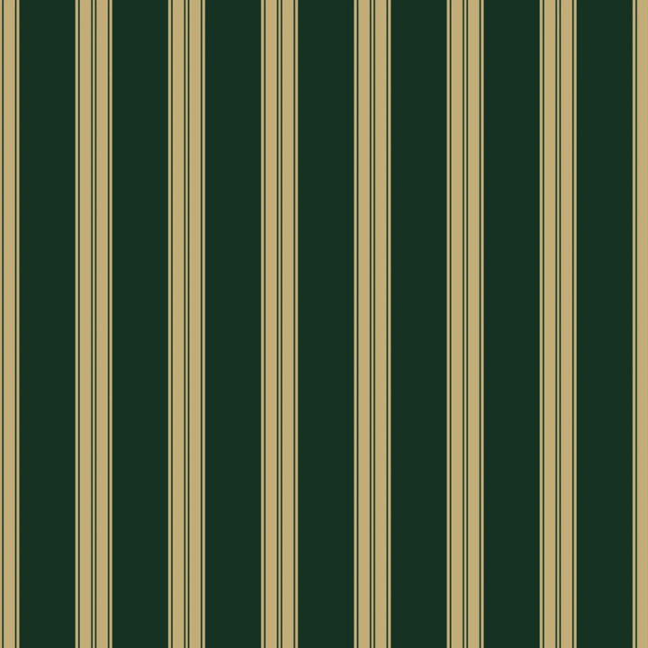 Gold 19th century double-band stripe on a dark green ground: flat wallpaper pattern preview